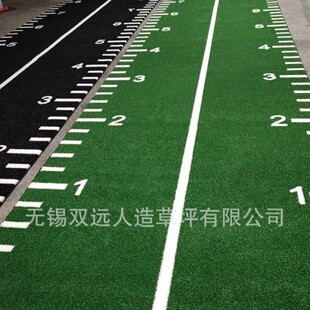 HYROX GYM GRASS  GYM  TURF  �������̶Ȳ�ƺ   15MM��Ƥ������