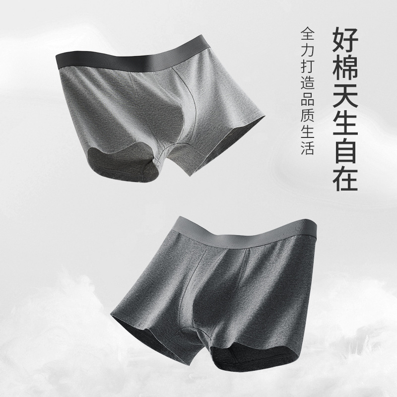 3-4 Pairs of 80-Count Xinjiang Long-Staple Cotton Men's Underwear Men's Pure Cotton Silk Antibacterial Four-Corner Large Size Boxer Shorts