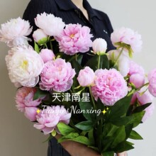 新款单支3头芍药牡丹仿真花家居婚庆装饰摄影花艺假花摆设插花