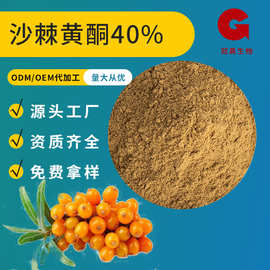 沙棘黄酮40%沙棘果提取物 速溶浓缩另有沙棘肽 沙棘粉
