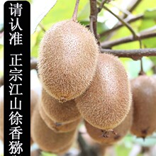江山徐香猕猴桃新鲜水果包邮当季大果整箱绿心弥猴桃奇异果礼盒装