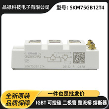 SKM300GAL128D SKM400GAL128D SKM50GAL12T4 ģK IGBTι