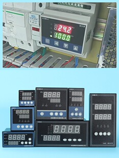 �x�����ؿ����߾���PID�ؿ؃x4-20mA���@�ضȃx��RS485ͨӍ