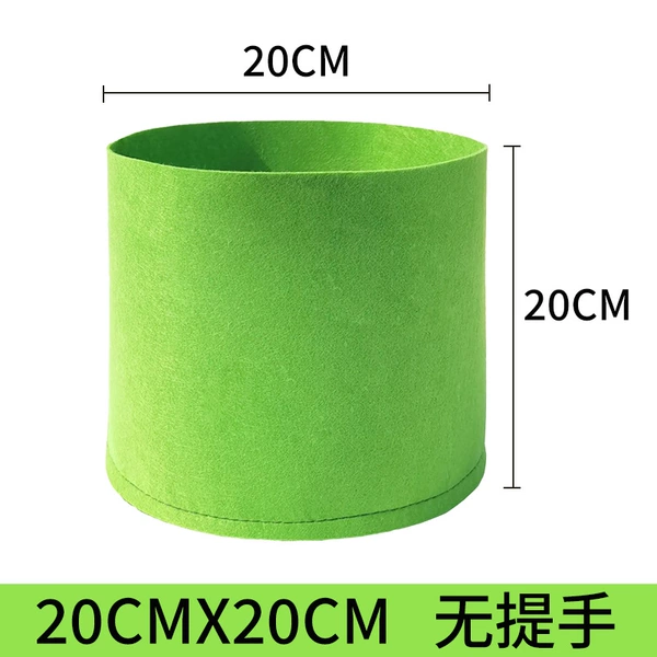 [Green Earless] 20 diameter 20 height