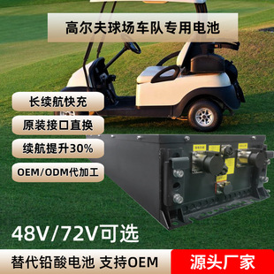 ���Ƹߠ�����܇늳ؽM48v100ah���m���^��܇�����F���Ԫ�늳�