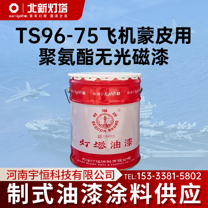 天津北新灯塔TS96-75各色飞机蒙皮用聚氨酯无光磁漆 航空航天涂料
