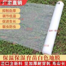 农用白色地膜小拱棚专用膜二膜加厚透明保温保湿大棚塑料薄膜种菜