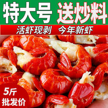 С���rβС���r5���r������ǟo��1����������rβ���l���rֱ�l