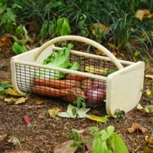 �Fˇ�����ռ{�𺆼s�����s���ռ{������N���߲���ʳ������