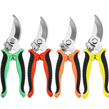 �羳��֦�������P䓈@ˇ���߈@�ֹ����֦ժ���������ü�S�����l