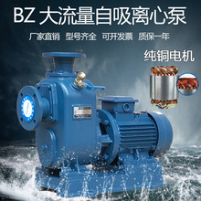 BZ自吸泵卧式管道离心泵380V工业大流量高扬程三相农用循环抽水机