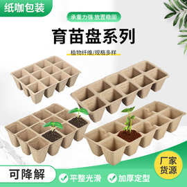 纸浆育苗盘 园艺植物苗营养盘10格12格套装可降解纸浆育苗盘