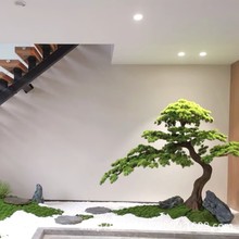 ����ӭ���ɘ�����҃����쾰�٘��b[���������l�_�h�ɷ����