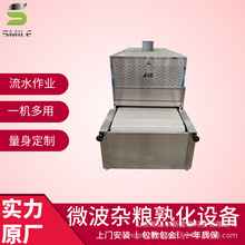 杂粮熟化设备生产厂家五谷杂粮微波烘焙设备黑豆熟化隧道炉