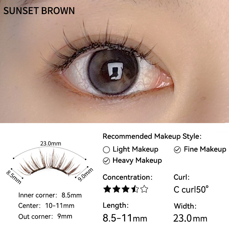 【선셋 브라운】-확장 버전-【올인원 박스】