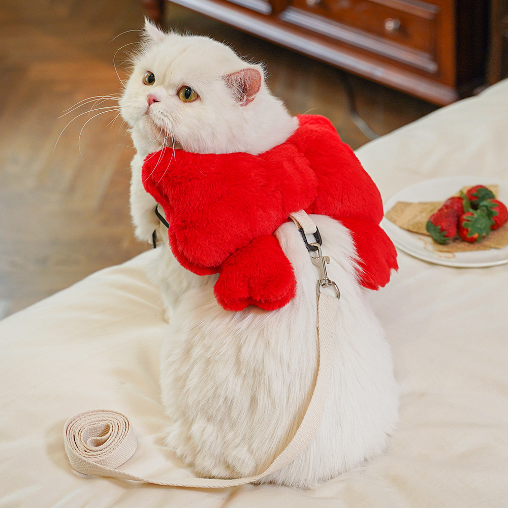Mascota arco correa para el pecho cuerda de tracción perro caminando cuerda perro gato fuera anti-rotura pecho volver suministros al por mayor