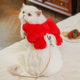 Pet bow chest strap traction rope dog walking rope dog cat out anti-break chest back wholesale supplies