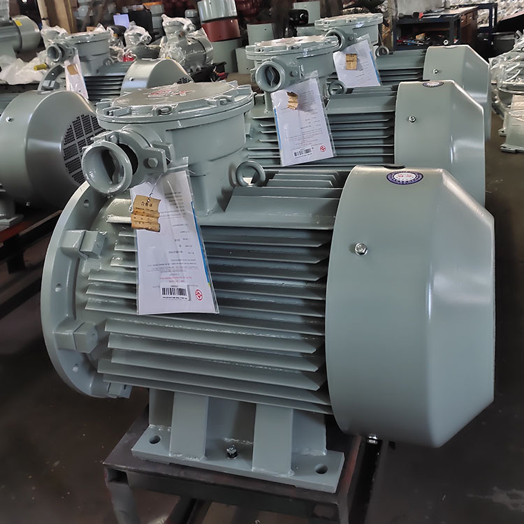 防爆YBX4-80～400系列 隔爆型三相异步电动机 南洋电机厂