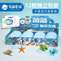 Mai Fun Planet Детские морские археологические раскопки игрушки слепые коробки гипс diy ручная головоломка детские игрушки