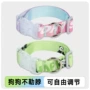 印花渐变牵引卡通项圈