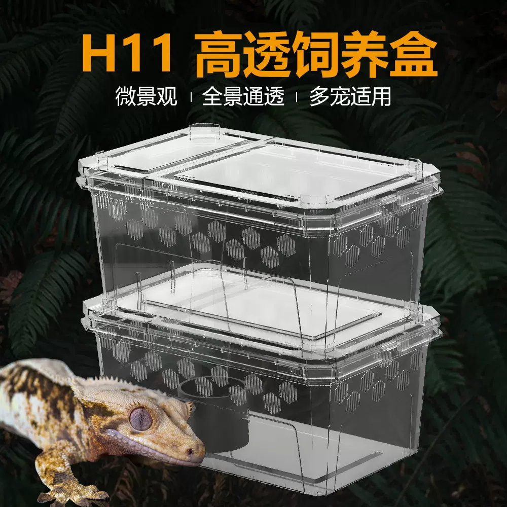 H11爬虫饲养箱蜘蛛守宫蜥蜴蝎子角蛙蜈蚣塑料乌龟幼体饲养盒
