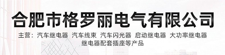 汽车启动继电器详情_02