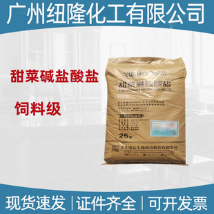 �F؛���� ����|�}���} ɽ�|��� ��ϼ� �Tʳ�� ����|�}���}