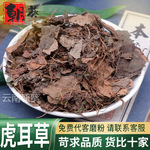 虎耳草中药材精选品质金线吊芙蓉虎儿草金丝荷叶干可代客磨粉泡水