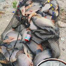 �K�~�r�r�D�K�~�D����֭���~�D���h����~�r���r����~��