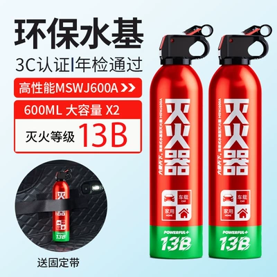 Inspection Vehicle Fire Equipment, Vehicle fire extinguisher - 600ml-daai-tianxia-13b-2-bottles-a-set-of-straps