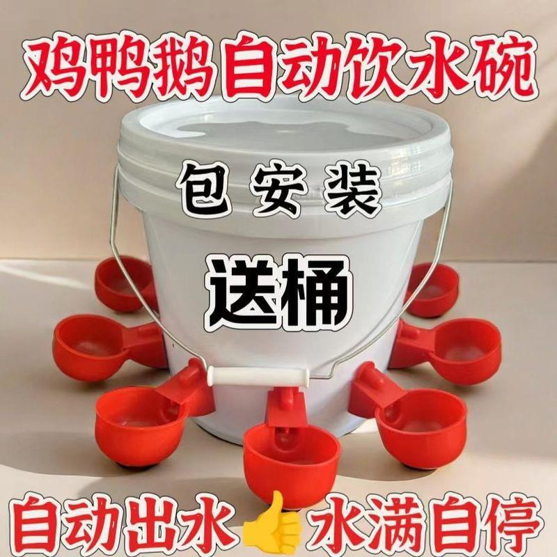 喂鸡食槽水槽一体喂鸡懒人出远门农村自动喂鸡家禽养殖小鸡鸭|undefined