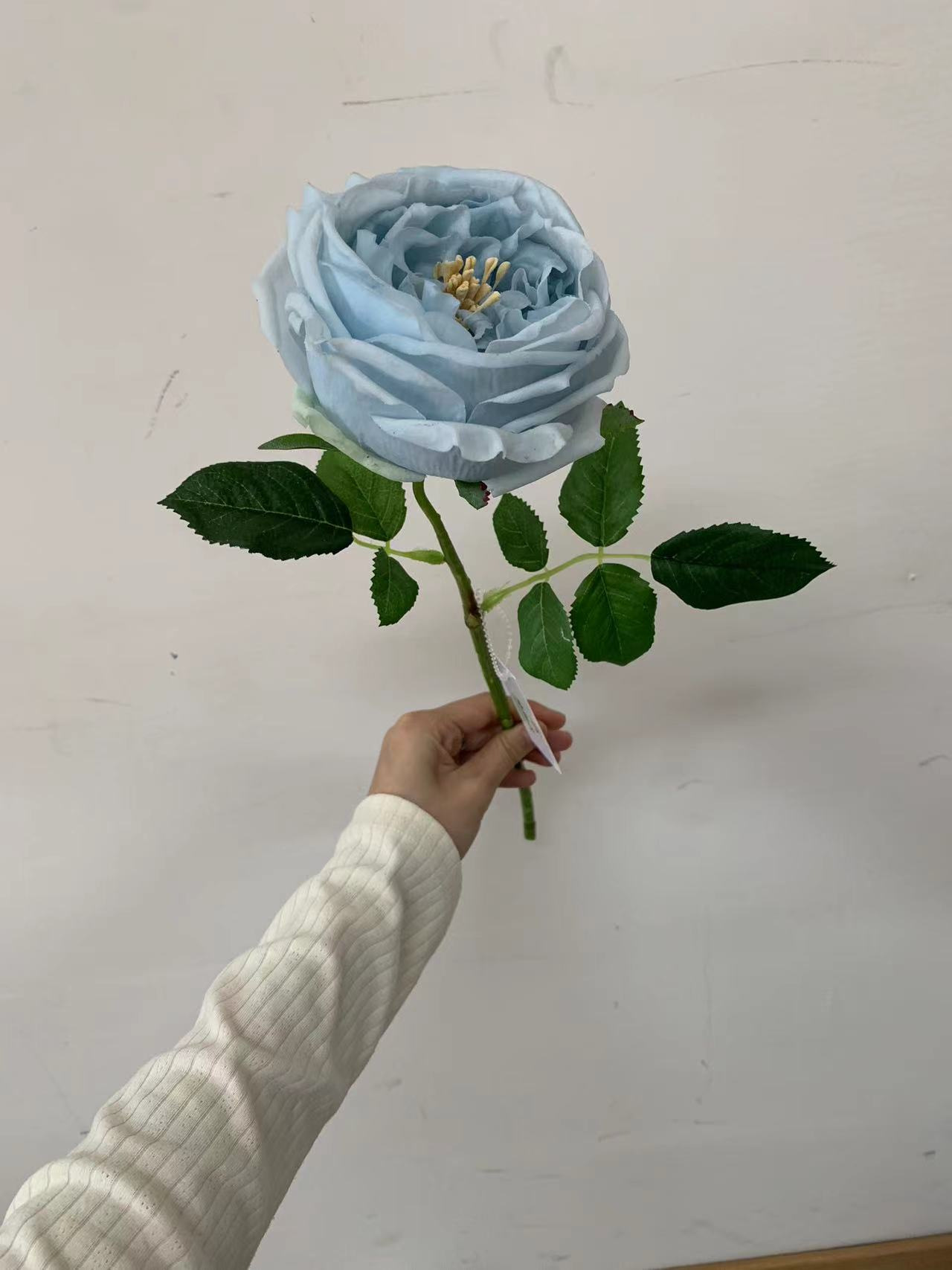 320803460F284348ABF63430B0D5BF