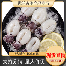 优普新鲜速冻无冰大号墨鱼仔去皮去脏海捕鲜冻墨鱼仔整箱商用批发