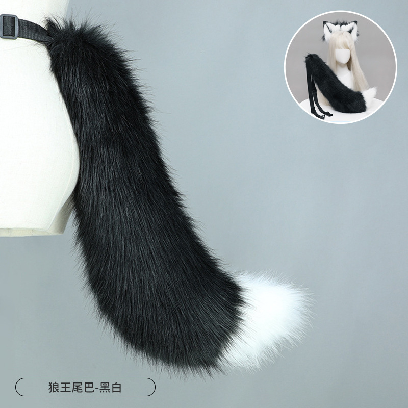 Rey lobo cola-blanco y negro