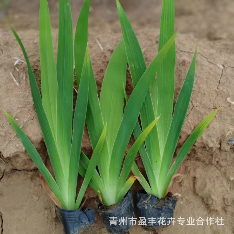 微信图片_20241223104005