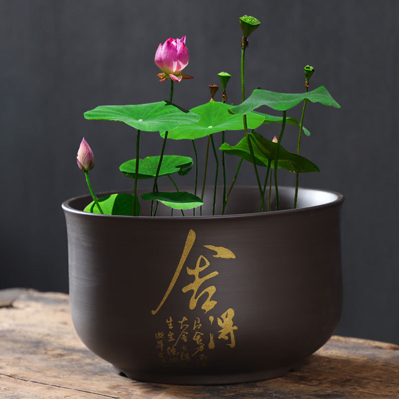 蓮鉢 蓮セラミック紫砂大型水耕銅貨植木鉢非多孔質水栽培睡蓮ボウル蓮鉢|undefined