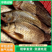 ���r�a�~���~��B�a�~�ӹ�����~���ü������r�~�����~��깩��