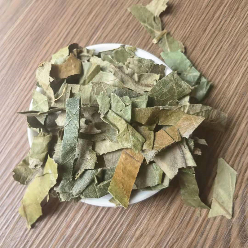 Dried Loquat Leaf Pi Pa Ye Eriobotrya japonica Clean Sifted Herbal Tea Leaves Bulk Wholesale quality and texture