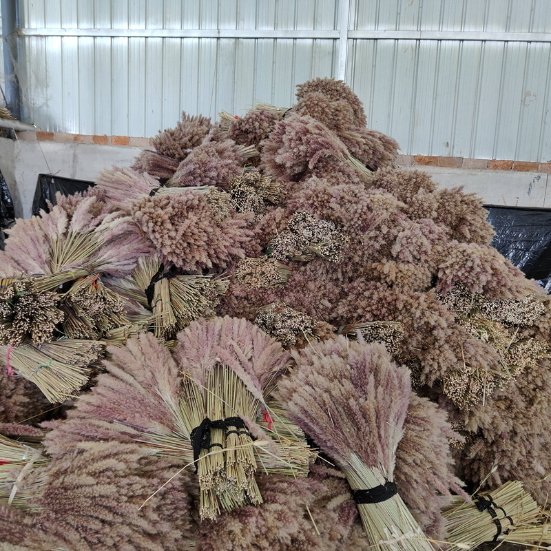 Pampas Grass Bouquet 8