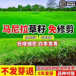 �R�������Ѱ����ͺ����޼��o�¹����ļ�����ͥԺ�G����ƺ��Ƥ�N��