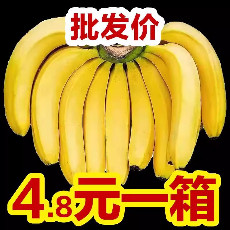 云南高山甜香蕉10斤水果大芭蕉小米蕉甜蕉皇帝蕉整箱包邮自然熟