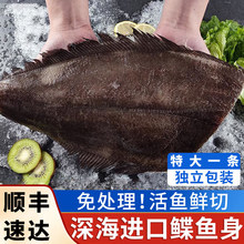 鲽鱼身比目鱼鲽鱼现切新鲜格陵兰深海鲽鱼冷冻大号鸦片鱼整条鱼身