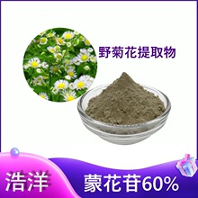 �ɻ���60% 98%  Ұ�ջ���ȡ�� 480-36-4 Buddleoside 100��/��