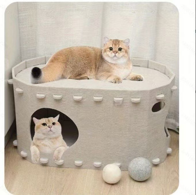 낙타