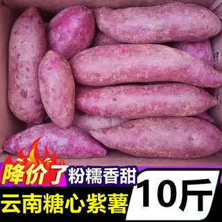 Юньнаньский фиолетовый сладкий картофель, свежий фермерский батат, выращенный самостоятельно, 10 фунтов сезонных овощей, готовый к употреблению, песок, сладкий картофель, сладкий картофель, сладкий картофель, целая коробка оптом