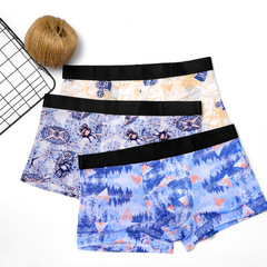 Men's Printed Ice Silk Invisible Summer Straight Leg Pants Youth Breathable Thin Sexy Four-Panel Underpants for Students