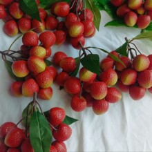 ������֦��ģ������Ц���۹��A���ϼ�ˮ���Ĕz���ߘӰ��g�b̾�