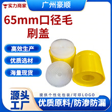 65mm�ڏ�ëˢ�wԴ�^���S���lʳƷ��pppe���|�m�����ĭ��ϴ��