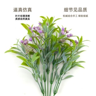 �������~�M���ǰ��� ���ϼٻ�С���� �廨��� �Ҿ�ܛ�b��c����