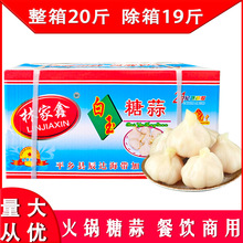 林家鑫白玉糖蒜整箱餐饮商用腌泡大蒜泡菜炒饭面条泡馍下饭小菜